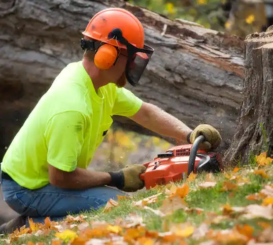 tree services New Town